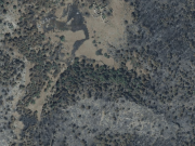 overview