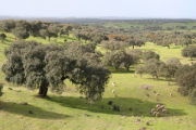 overview