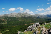 overview