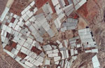 overview
