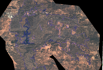 overview