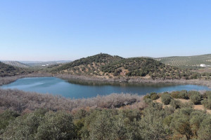 overview