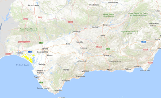 overview