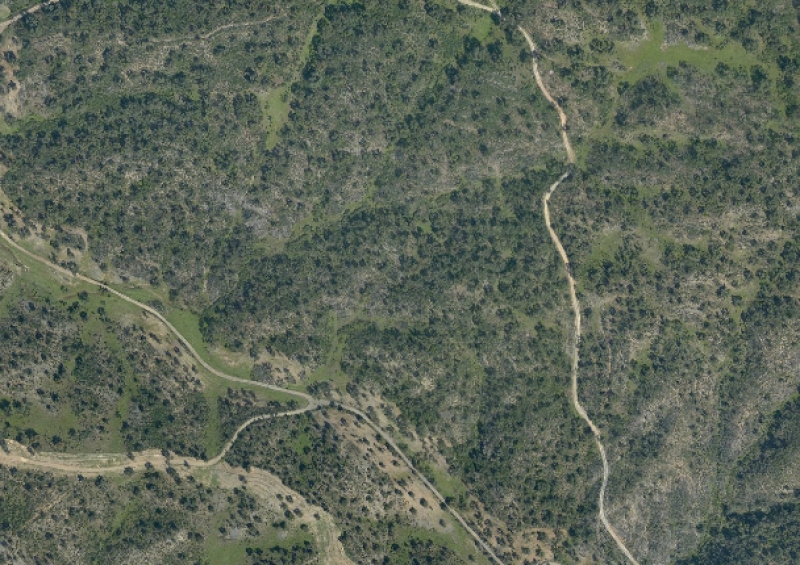 overview