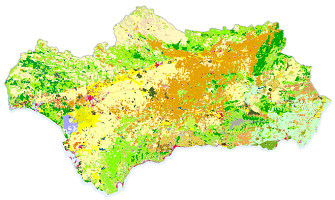 overview