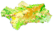 overview