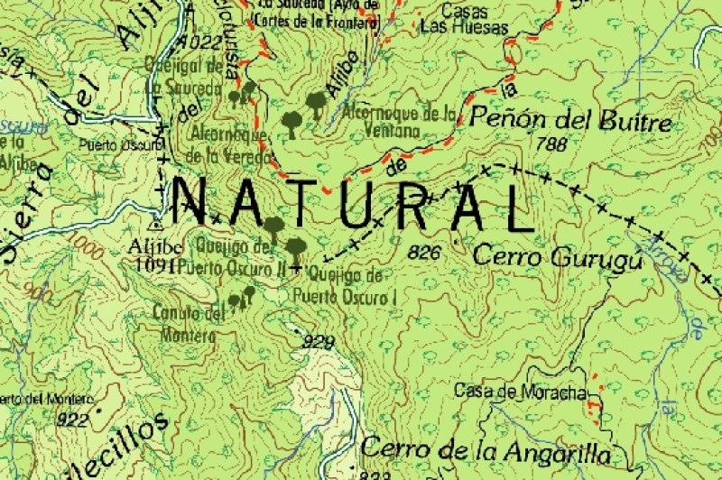 overview