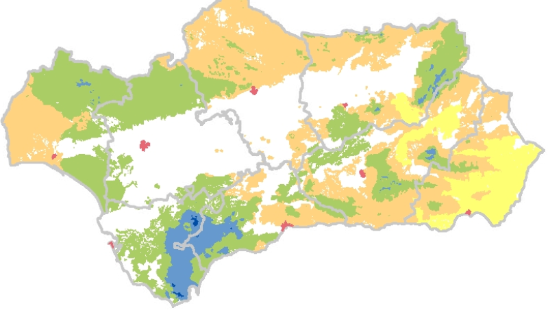 overview