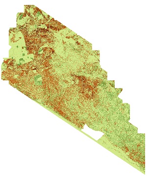 overview