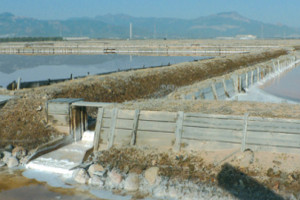 overview
