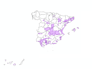 overview