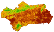 overview