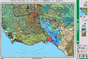 overview