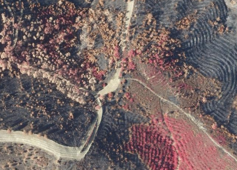 overview