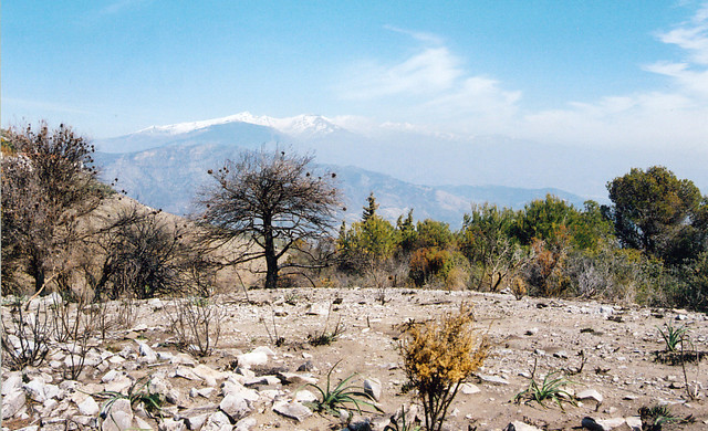 overview