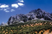 overview