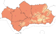 overview