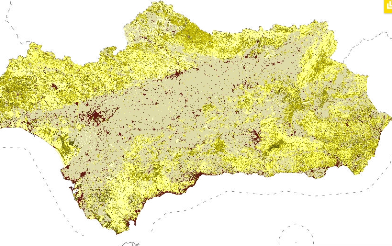 overview
