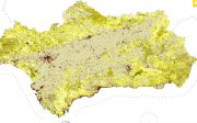 overview