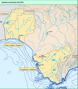overview