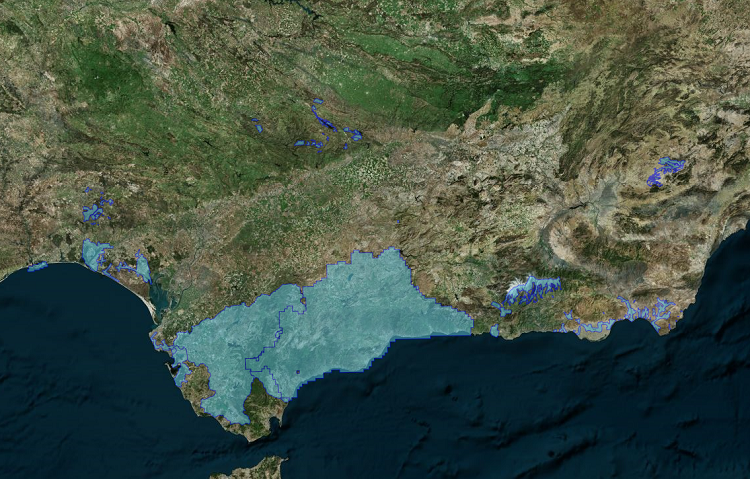 overview