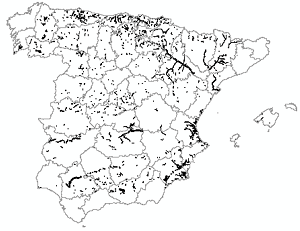 overview