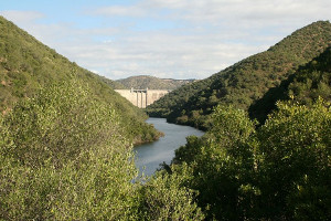 overview