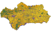 overview