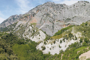 overview