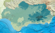 overview