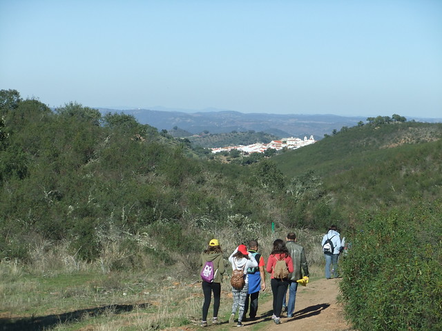 overview