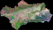 overview