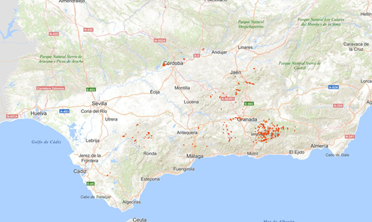 overview
