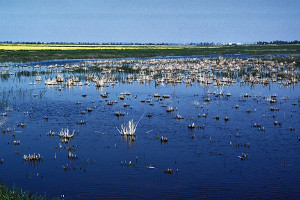 overview