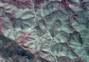 overview