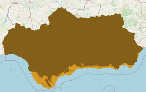 overview