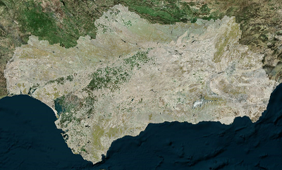 overview