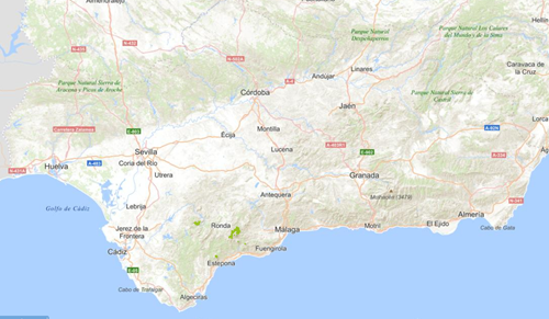 overview