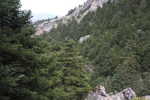 overview