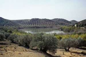 overview