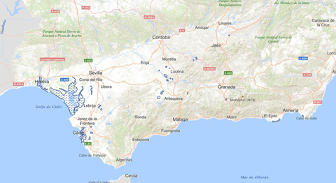 overview