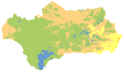 overview