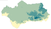 overview