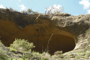 overview