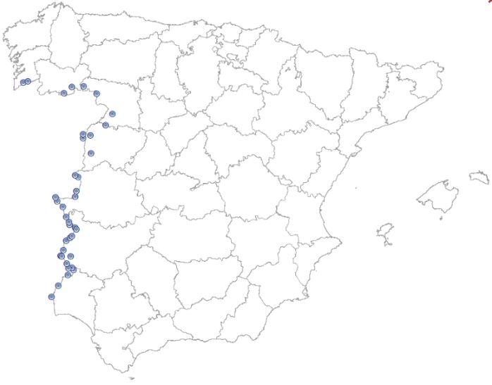 overview