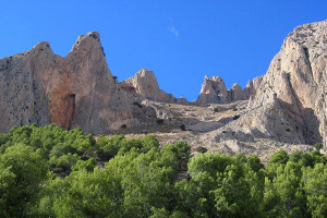 overview