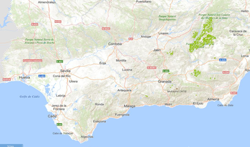 overview