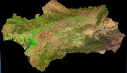 overview