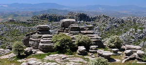 overview