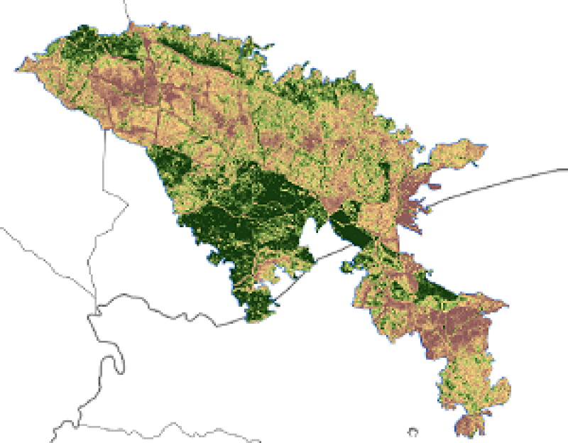 overview
